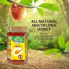 Zandu Pure Honey 500g Jar