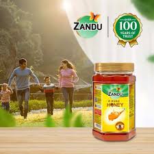 Zandu Pure Honey 500g Jar