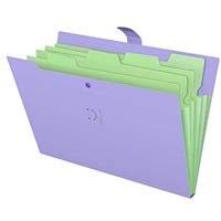 Aarpee Strip Folder With Stick (SFA-200 WS)