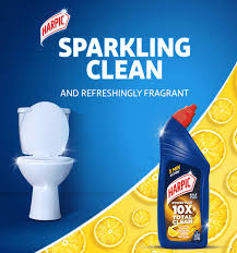 Harpic Powder plus orginal difinsfectant toilet Cleaner 600ml